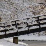 cropped-cropped-cropped-winter-2010-004_2