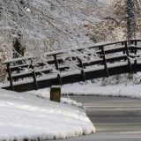 cropped-cropped-winter-2010-004_2